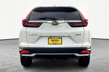 Used 2020 Honda CR-V EX-L image 4