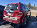 Used 2012 Ford Escape Limited image 4