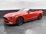 Used 2022 Ford Mustang Premium image 2