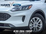 Certified 2022 Ford Escape SE w/ Convenience Package image 4