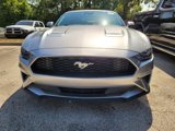 Used 2022 Ford Mustang Premium image 2