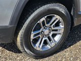 New 2025 GMC Terrain Elevation image 5