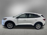 Used 2022 Ford Escape SE image 2