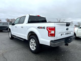 Used 2020 Ford F150 XLT w/ Equipment Group 302A Luxury image 4