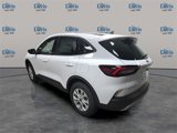 New 2025 Ford Escape Active w/ Active Premium Tech Pack image 3