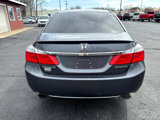 Used 2013 Honda Accord Sport image 4