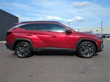 Used 2025 Hyundai Tucson Limited image 3