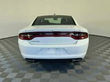 Used 2022 Dodge Charger SXT image 4