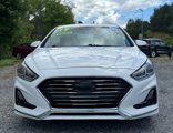 Used 2019 Hyundai Sonata SE w/ Cargo Package image 2