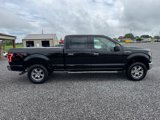 Used 2016 Ford F150 4x4 SuperCrew image 5