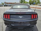 Used 2023 Ford Mustang Premium image 6