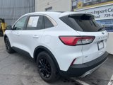 Used 2022 Ford Escape SE w/ Convenience Package image 3
