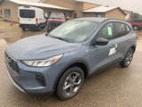 New 2025 Ford Escape ST-Line w/ Tech Pack #1 image 3