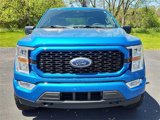 Used 2021 Ford F150 XL w/ STX Appearance Package image 5