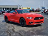 Used 2015 Ford Mustang Premium w/ 50 Years Appearance Package image 2