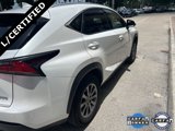 Certified 2021 Lexus NX 300 AWD w/ Comfort Package image 5