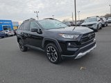 Used 2021 Toyota RAV4 Adventure image 3