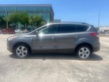 Used 2014 Ford Escape SE w/ Equipment Group 201A image 2