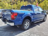 New 2024 Ford F150 XLT w/ Mobile Office Package image 5