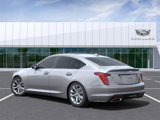 New 2025 Cadillac CT5 Premium Luxury w/ Sun And Sound Package image 3