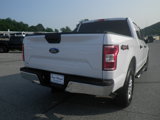 Used 2019 Ford F150 XLT image 5