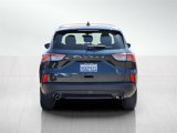 Certified 2022 Ford Escape SE image 5