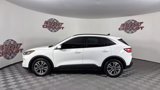 Used 2020 Ford Escape SEL image 3
