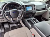 Used 2016 Ford F150 XLT w/ Equipment Group 302A Luxury image 4