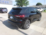 Used 2024 Ford Escape ST-Line image 6