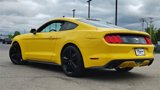Used 2015 Ford Mustang Premium w/ Ecoboost Performance Package image 4
