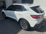Used 2020 Ford Escape Titanium image 5