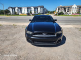 Used 2013 Ford Mustang Coupe image 3
