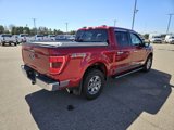 Used 2021 Ford F150 XLT w/ Equipment Group 302A High image 5