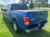 Used 2015 Ford F150 XLT w/ Equipment Group 301A Mid image 5
