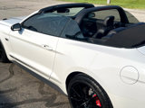 Used 2016 Ford Mustang GT Premium w/ Equipment Group 401A image 4