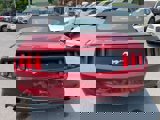 Used 2016 Ford Mustang Premium image 4