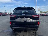 Used 2023 Ford Escape ST-Line Elite w/ Premium Technology Package image 4