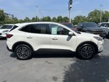 Certified 2022 Ford Escape SEL image 4