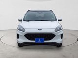 Used 2020 Ford Escape SE image 2