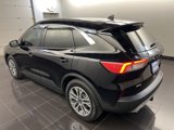 Certified 2022 Ford Escape SEL image 4