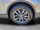 Used 2024 Volkswagen Tiguan SE image 5
