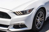 Used 2017 Ford Mustang Premium image 4
