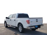 Used 2013 Ford F150 XLT w/ XLT Chrome Pkg image 4