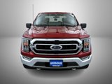 Used 2021 Ford F150 XLT w/ Equipment Group 302A High image 2