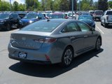 Used 2019 Hyundai Sonata Limited image 3