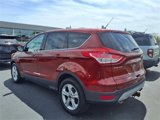 Used 2014 Ford Escape SE image 5