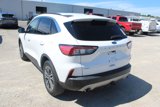 Used 2020 Ford Escape SEL image 4