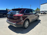 Used 2022 Ford Edge SEL image 6
