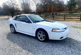 Used 1999 Ford Mustang Cobra image 2