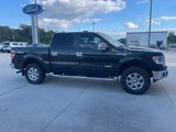Used 2014 Ford F150 XLT w/ Equipment Group 302A Luxury image 3